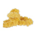 Teddy Hair Claw - Mustard