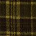 Autumn Plaid Scarf - Green